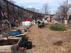 2014 BC Gardening Season